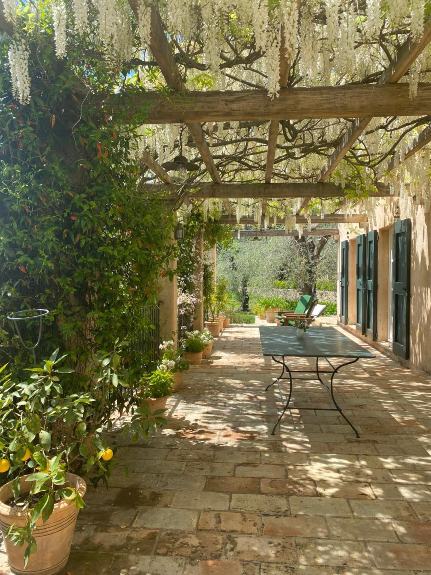 La Carabella Homestay Opio