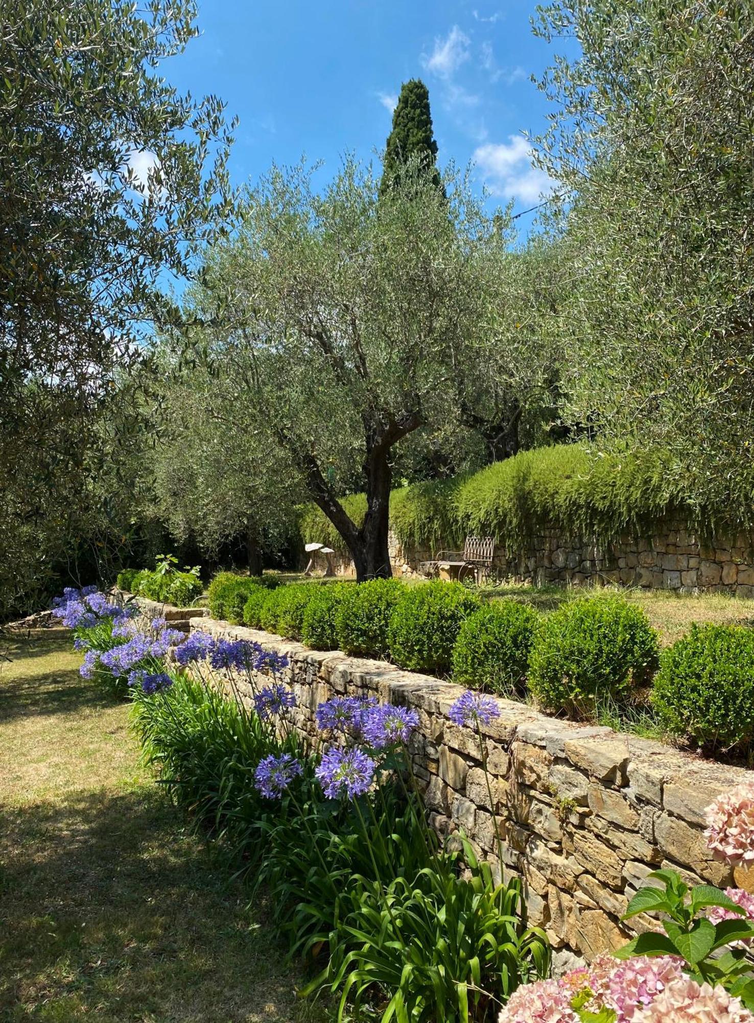 La Carabella Homestay Opio